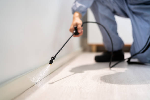 Licensed Cockroach Control service in Tupelo, MS - Nex Pest Control