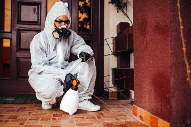 Reliable Cockroach Control contractor in Tupelo, MS by Nex Pest Control
